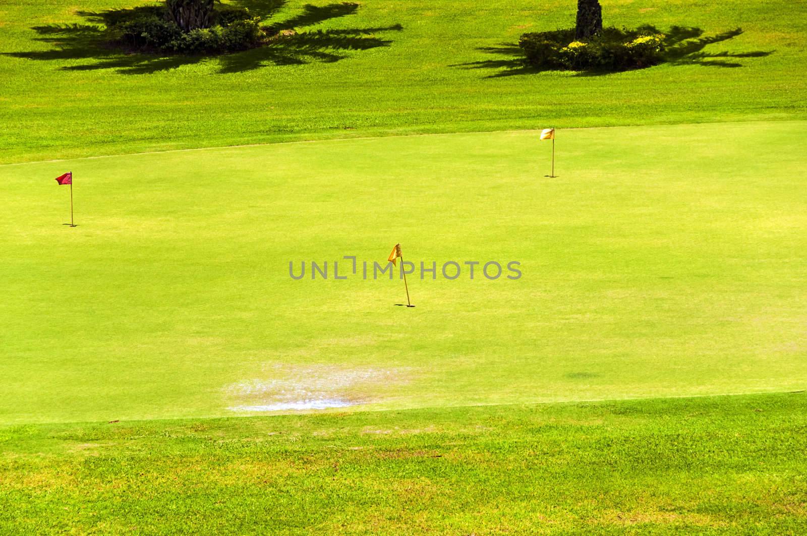 A beautiful golf course in the Philippines
