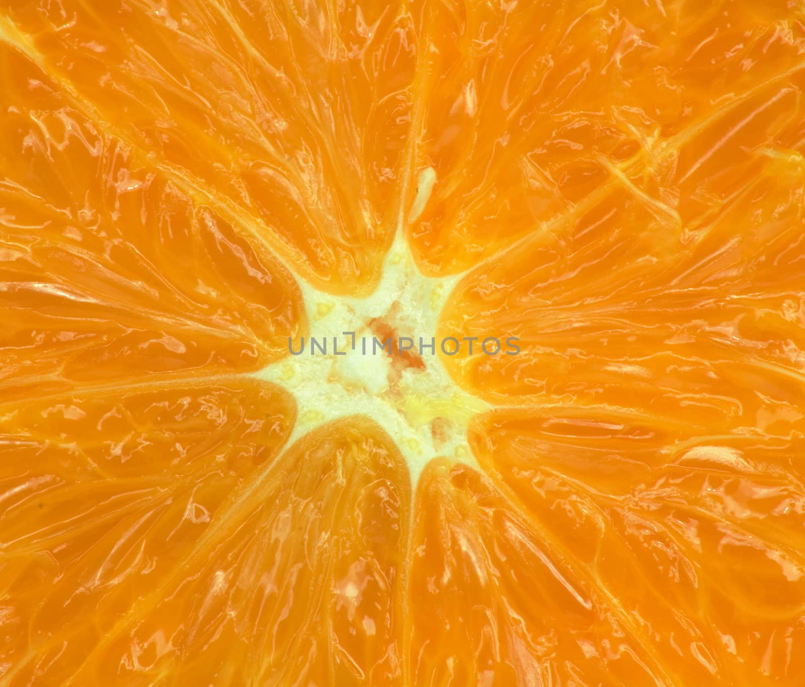 macro of an orange for backgrounds  by schankz