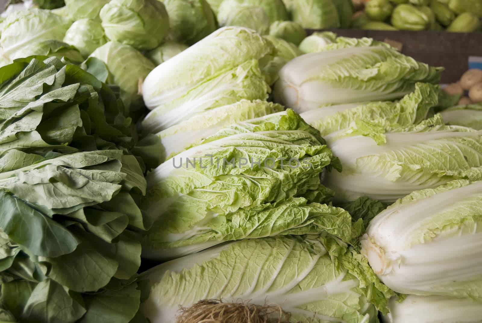 Various leafy vegetables used for salad
