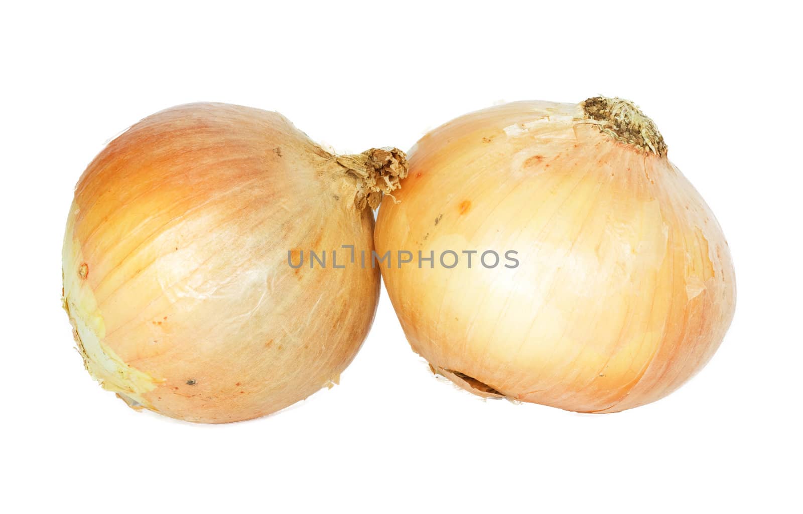 pair of onions /w clipping path 