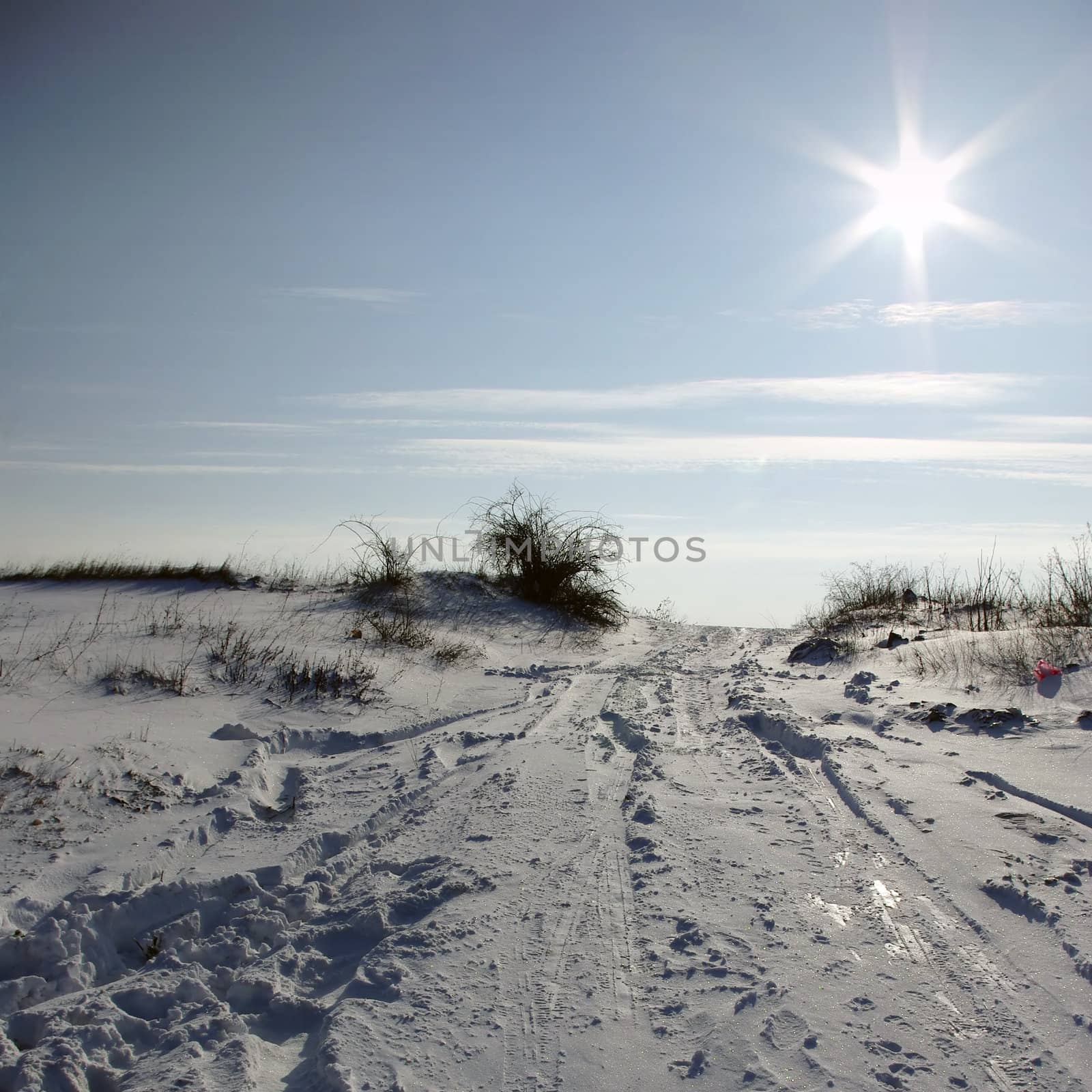 Snowy winter landscape with clear blue sky and sun.