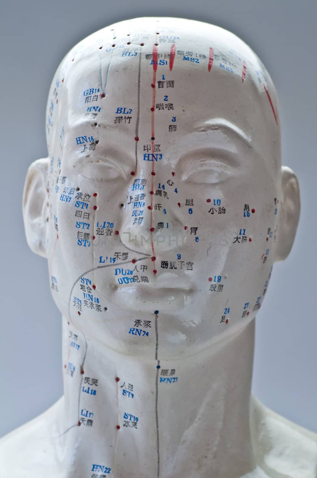 Acupuncture head model by Jochen