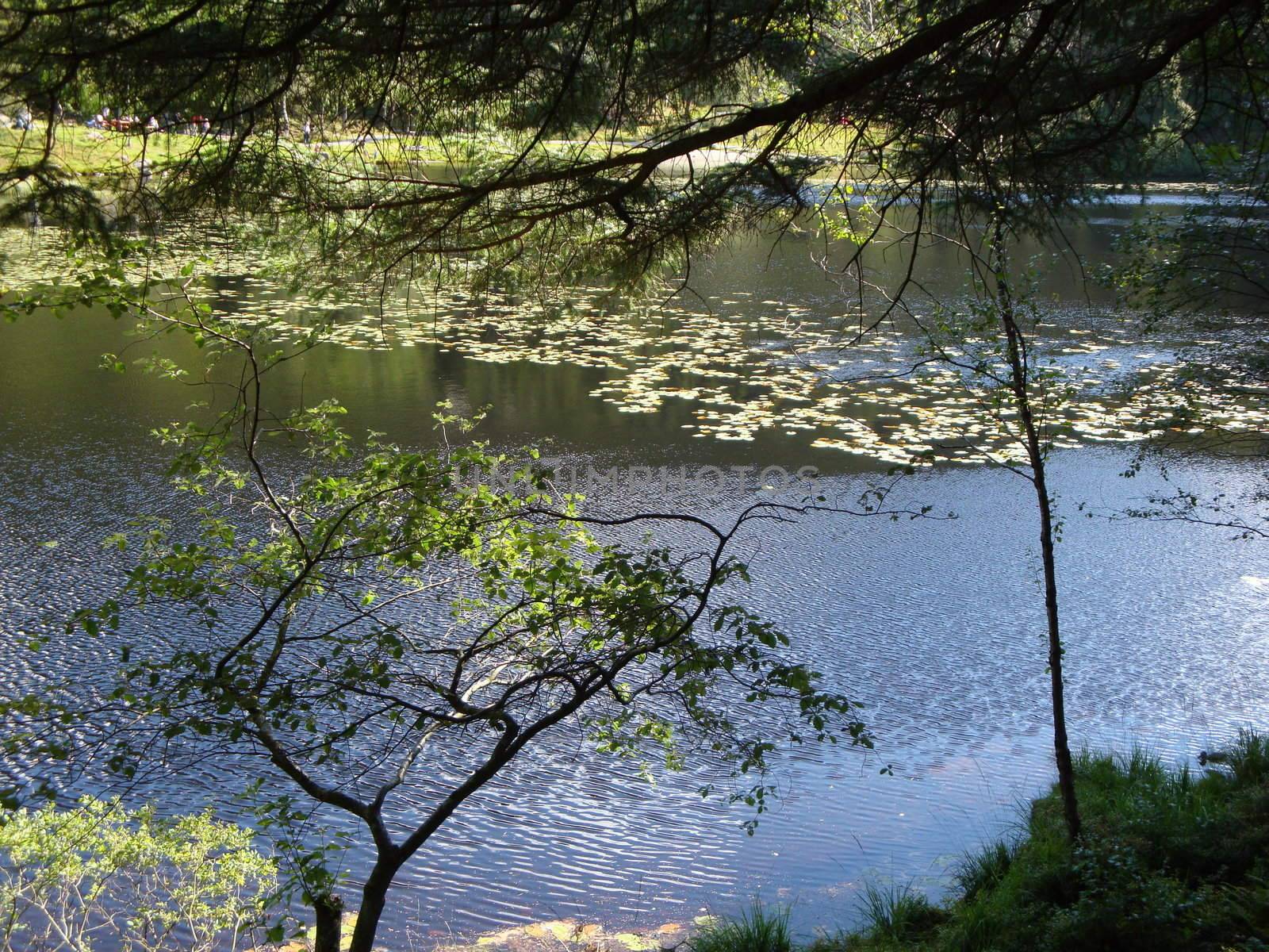 Nature