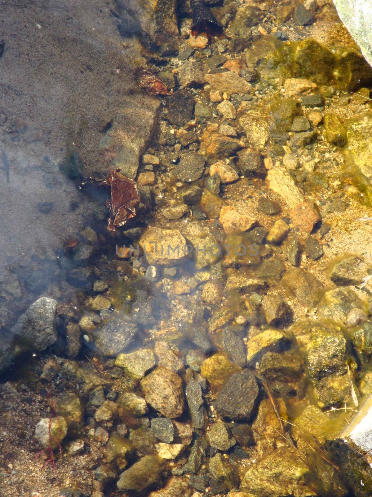 rocky bottom
