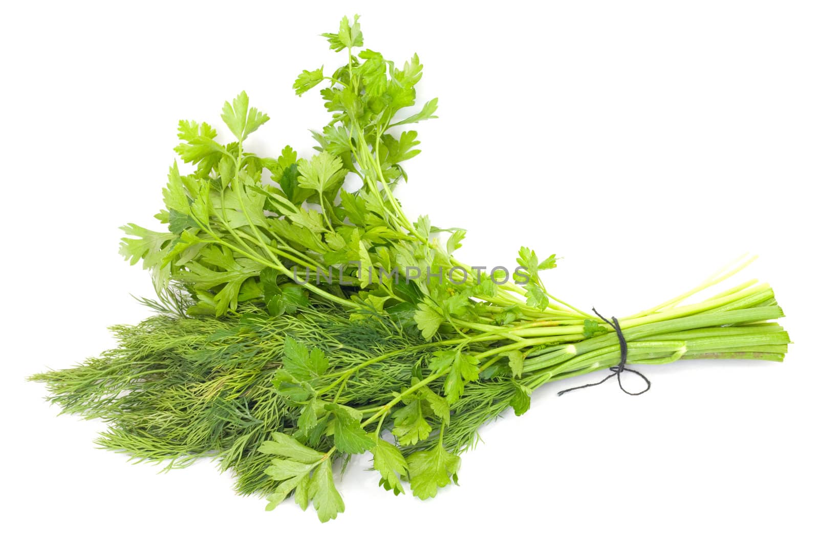 dill and parsley isolated on a white background 