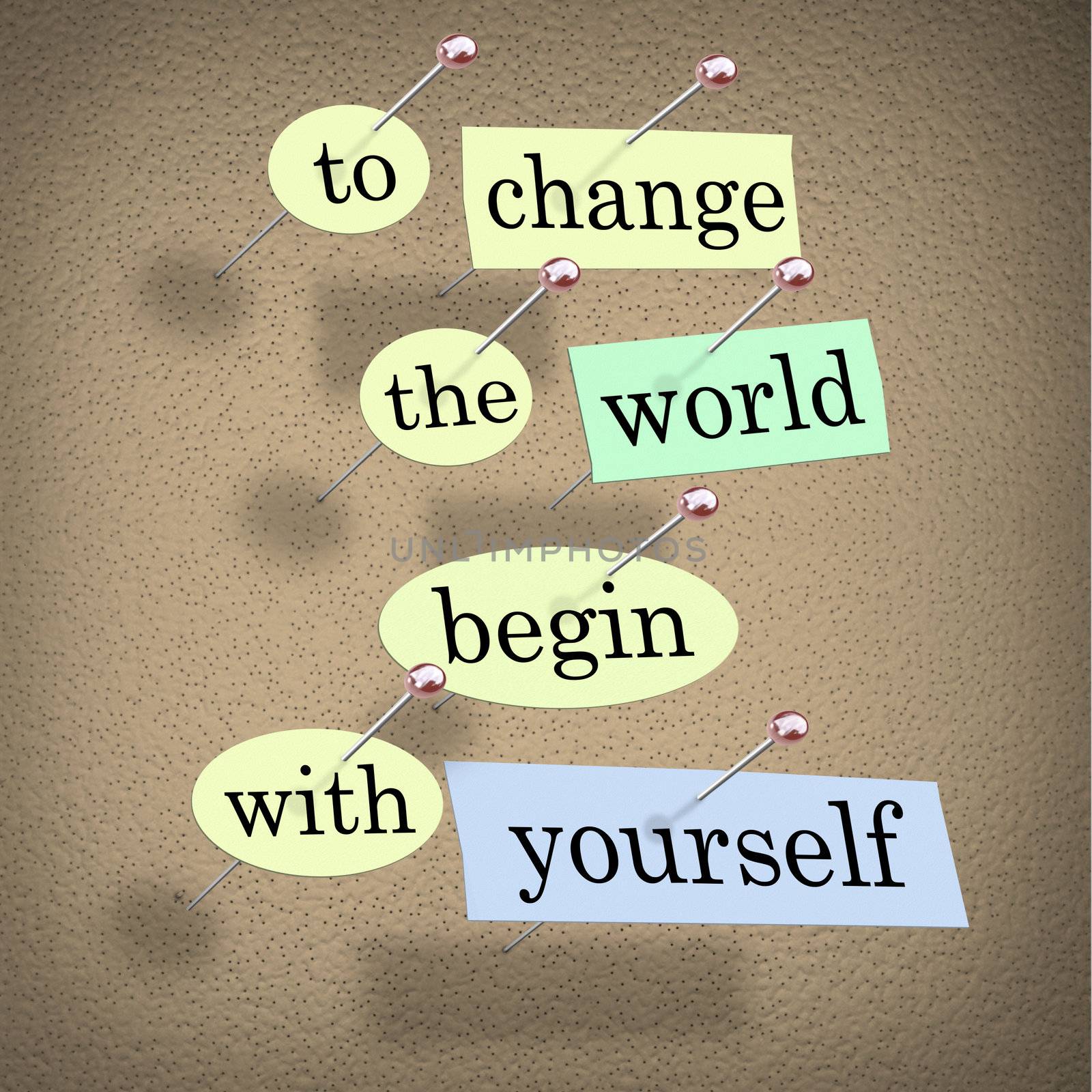 To Change the World Begin With Yourself - Bulletin Board by iQoncept