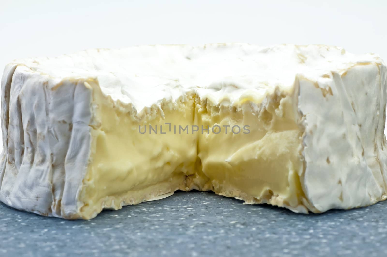 camembert cheese by Jochen