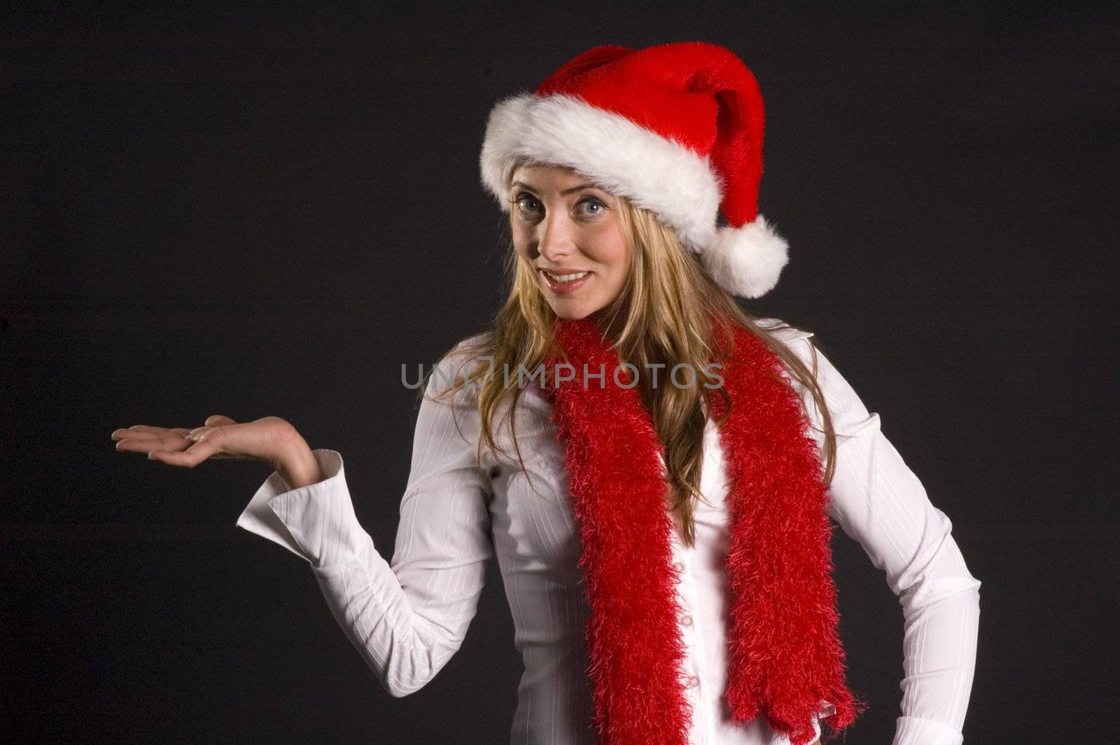 Sexy Santa's assistant on a black background