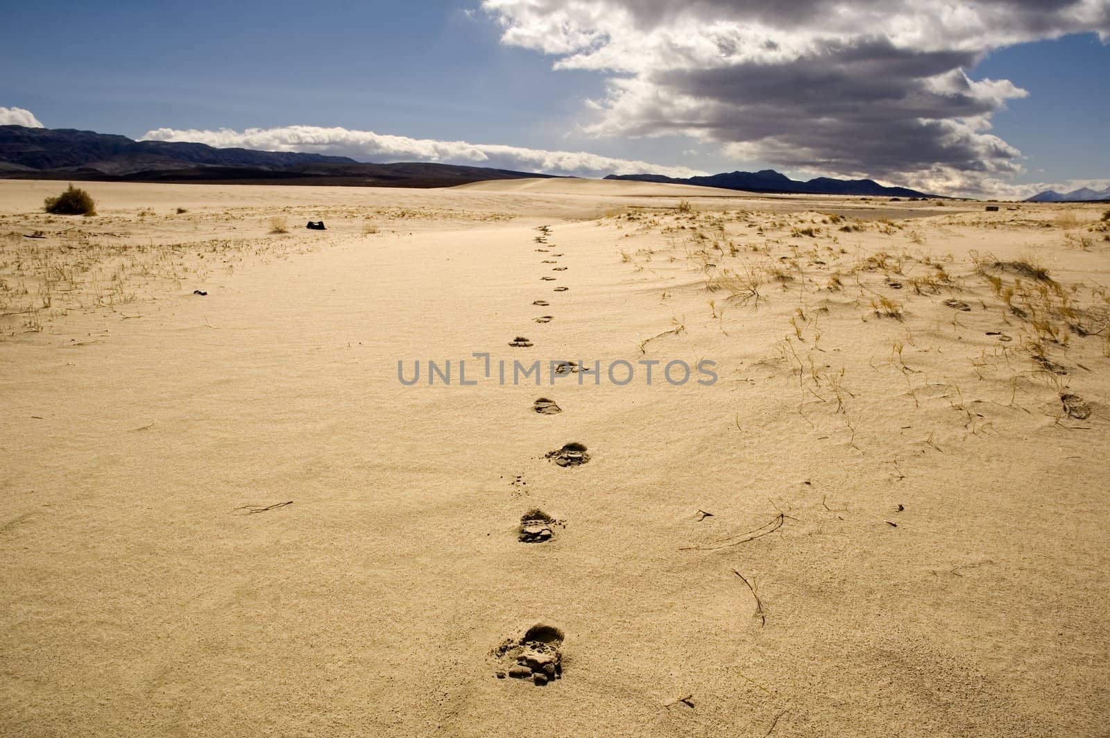 footprints coming towards the camera in the sand of Death valley's desert