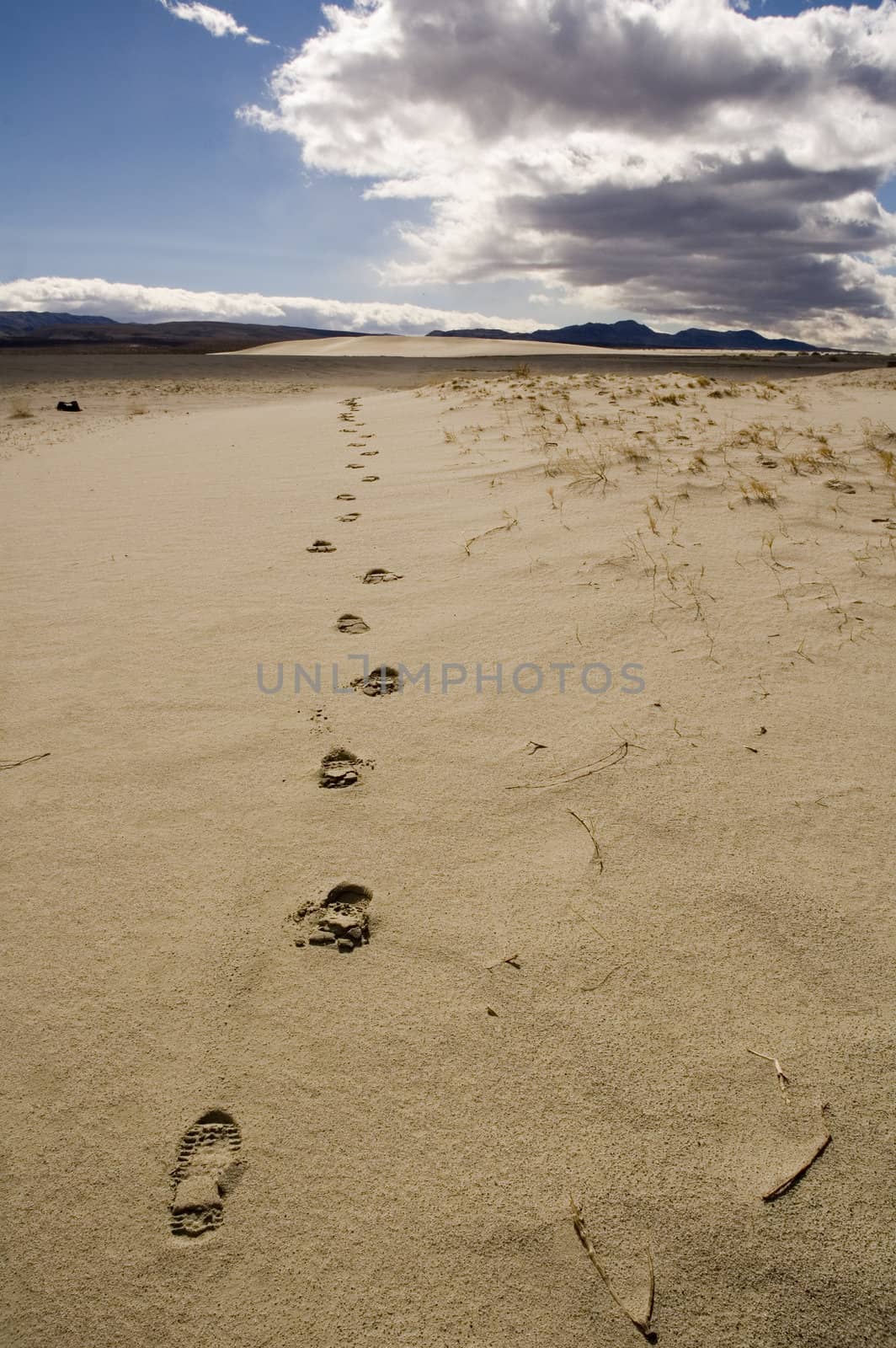following footprints leading off towards the distant mountains and into the desert in Death Valley