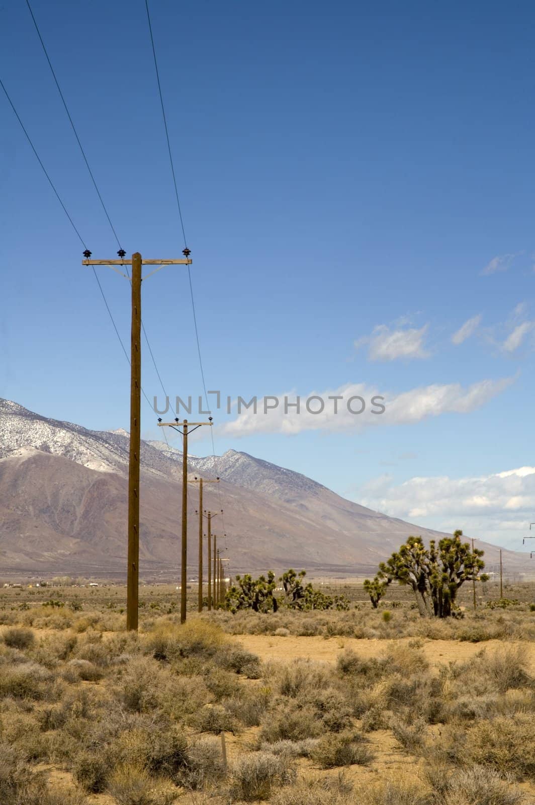 Power lines on wooden 'telegraph' poles running straight across the desert