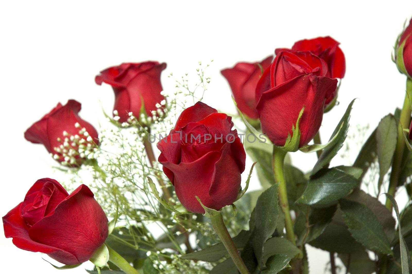 Red roses for any occasion, in a vase