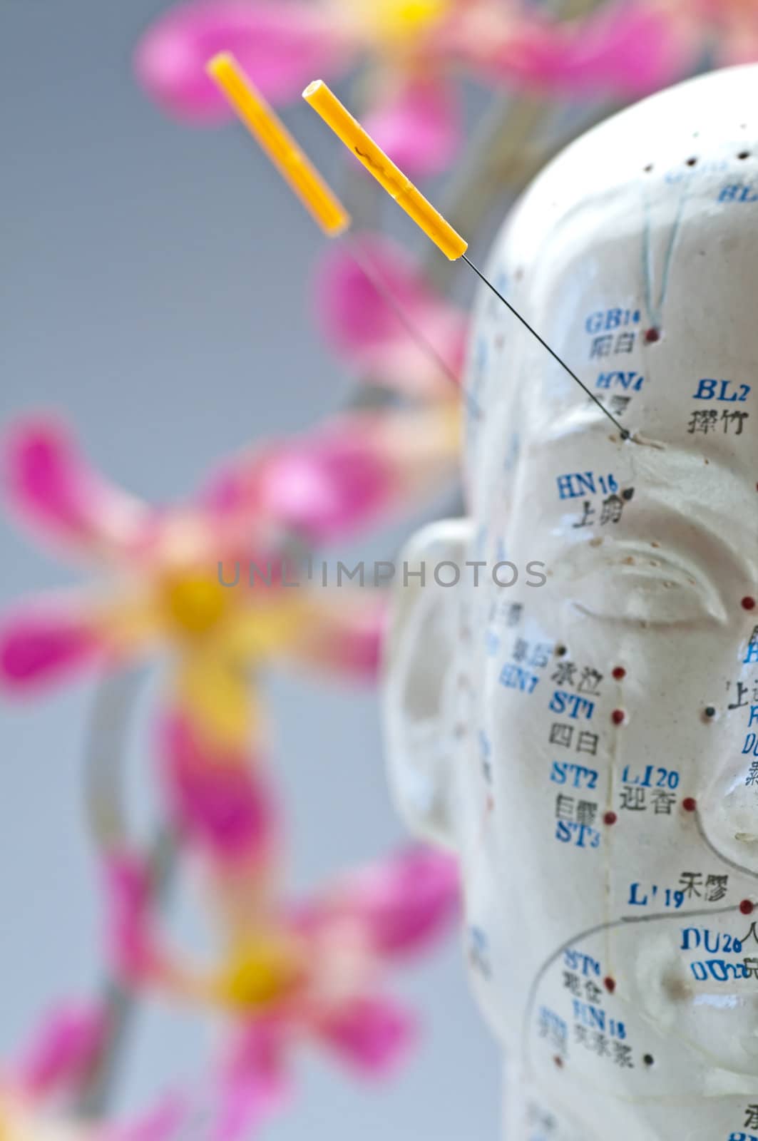 Acupuncture head model by Jochen