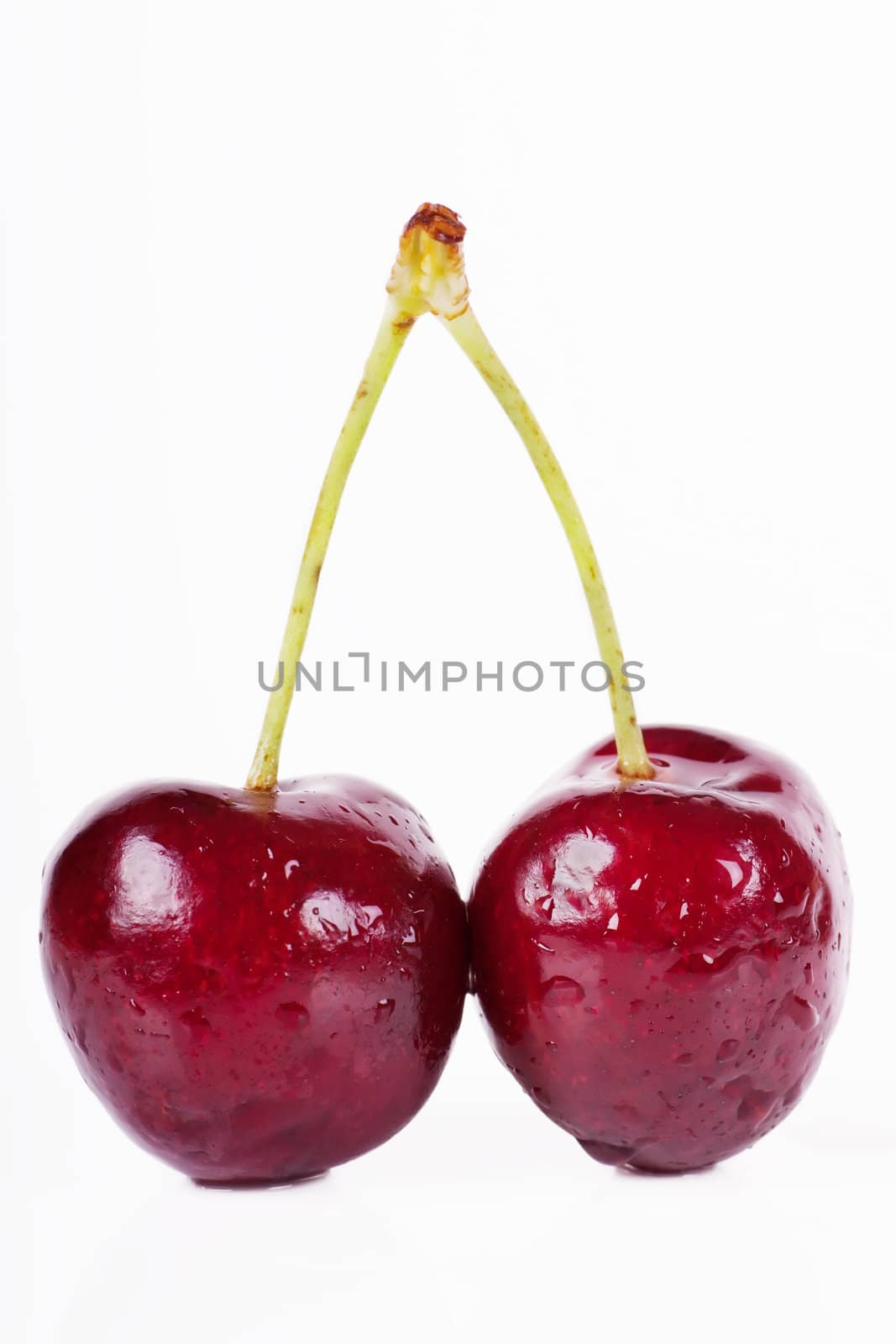 Close up view of pair of cherries isolated over white background