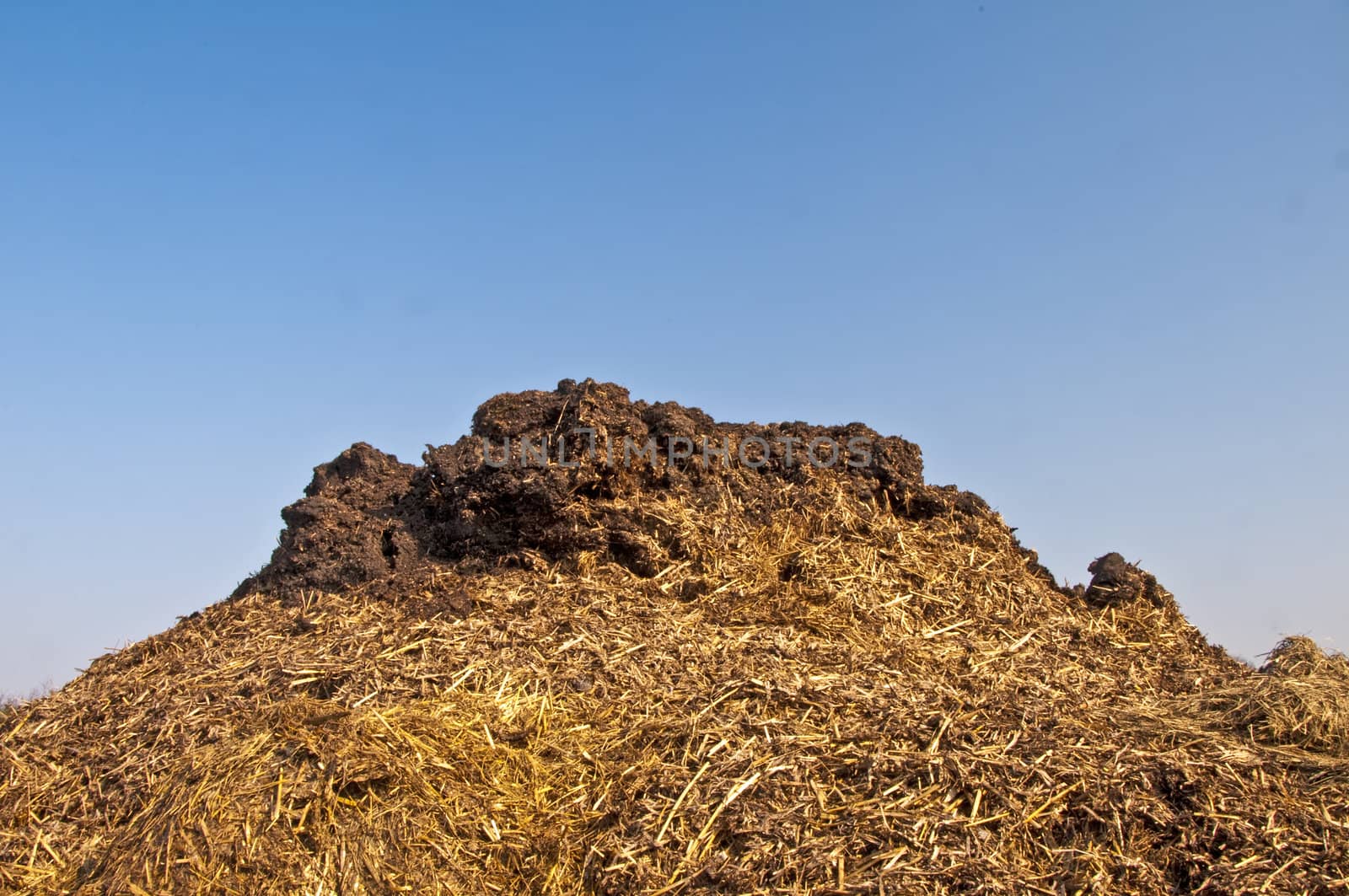 dung hill with a blue sky