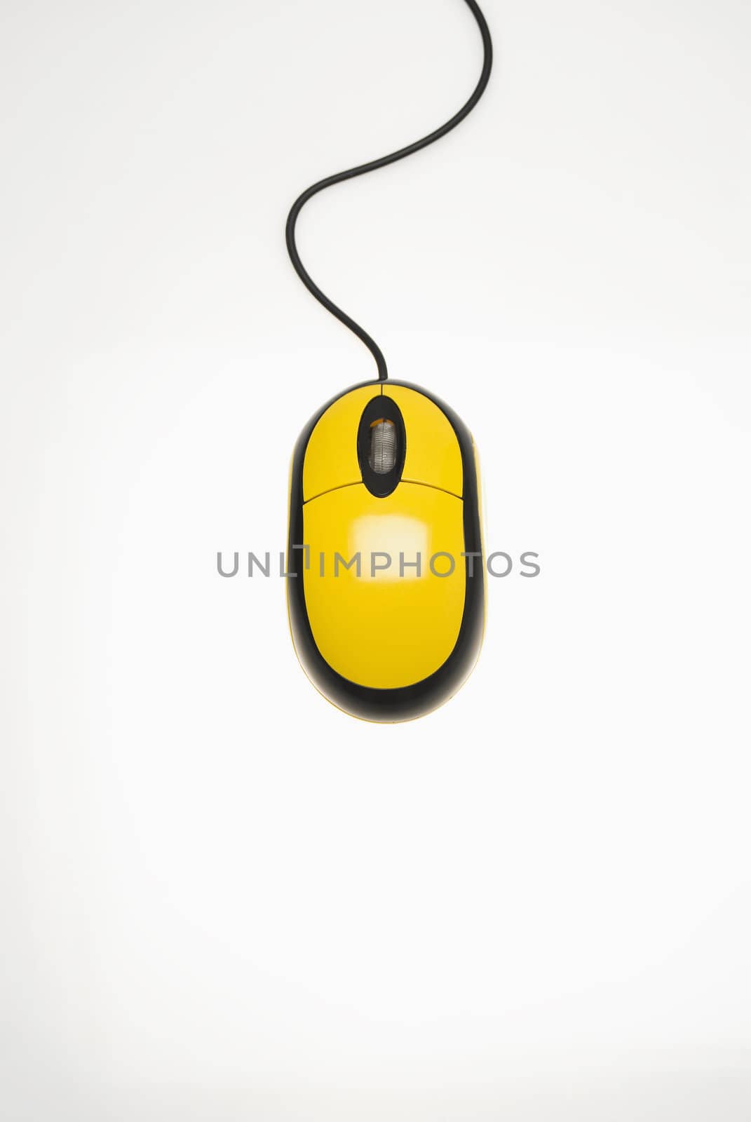 Studio shot of yellow computer mouse against white