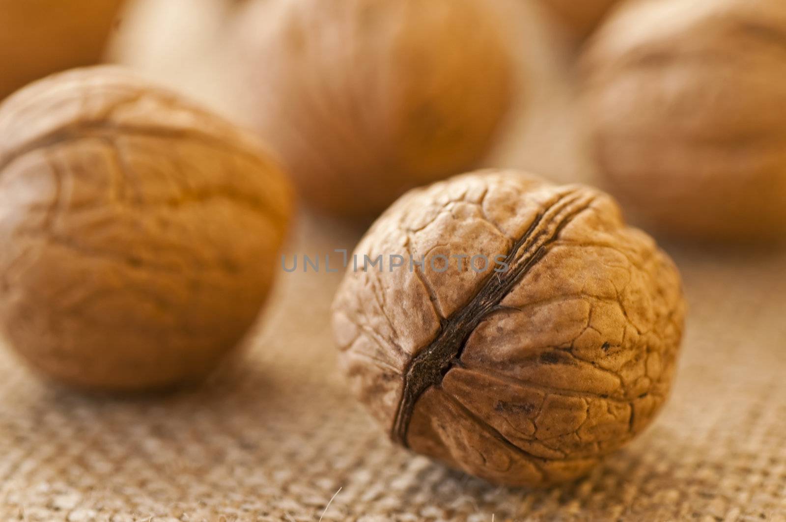 walnut