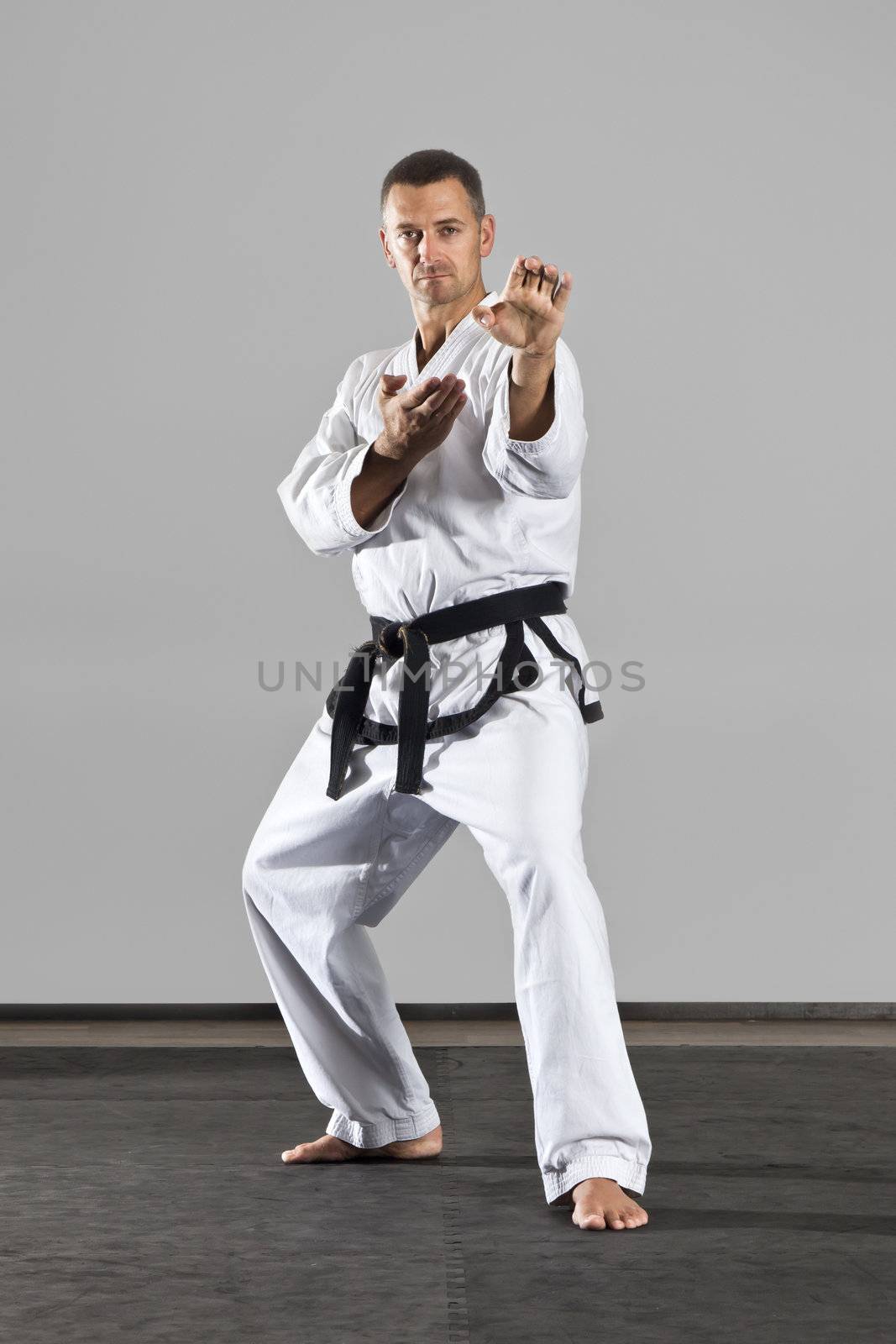 An image of a martial arts master