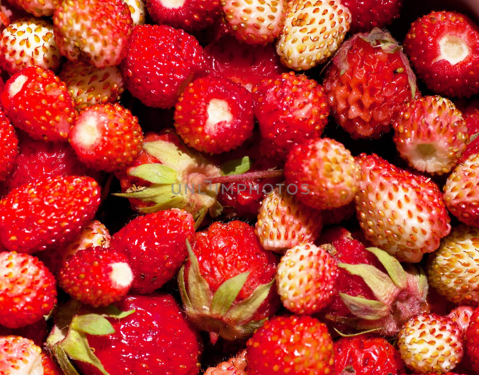 Macro view of a heap of fresh strawberries