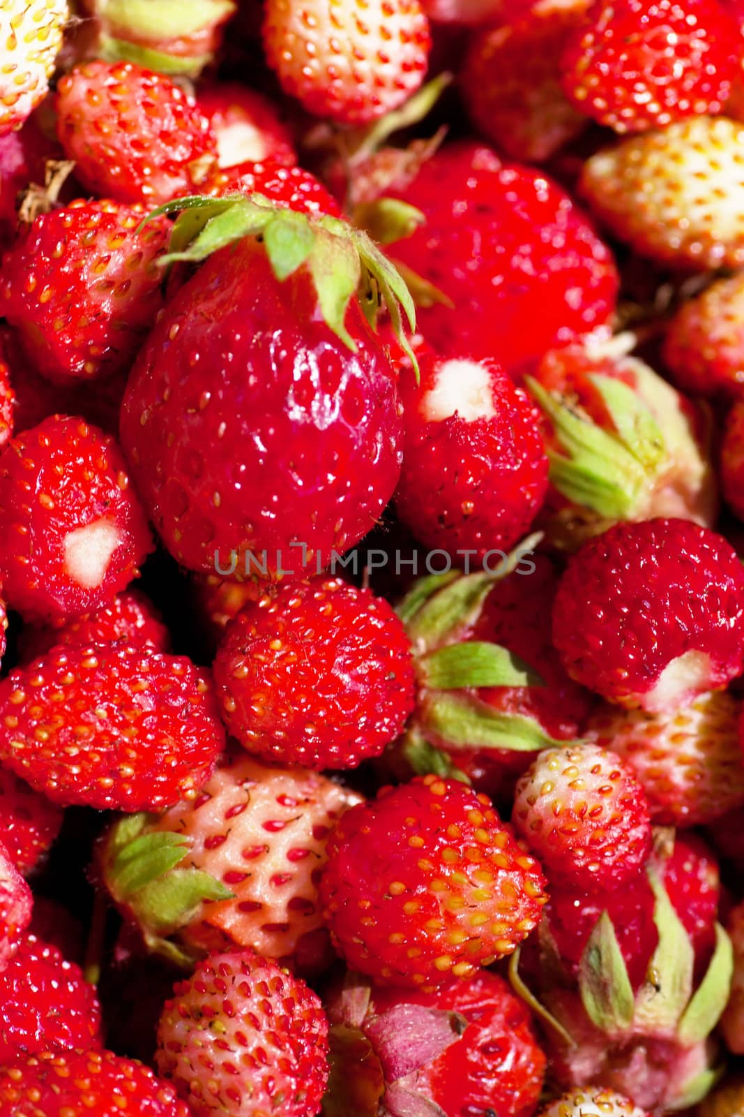 Macro view of a heap of fresh strawberries