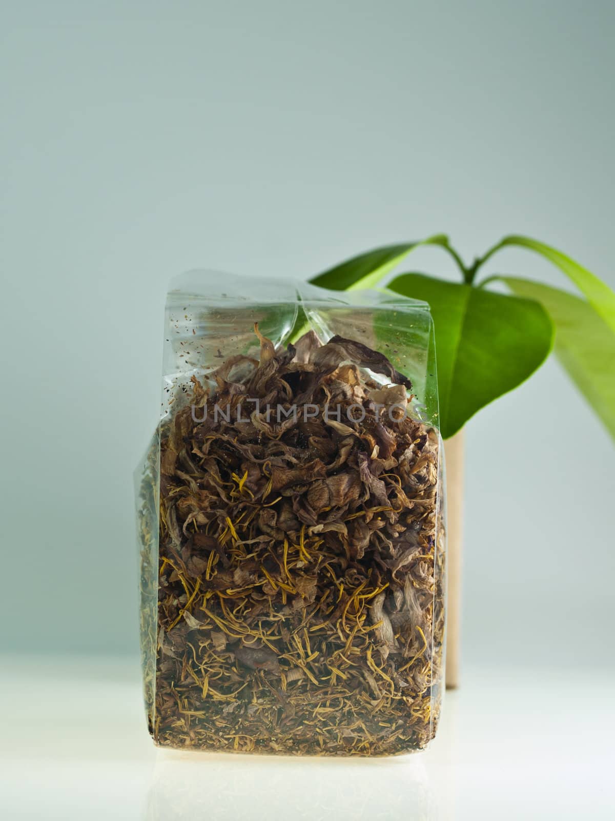 lotus tea dry in the bag by FrameAngel