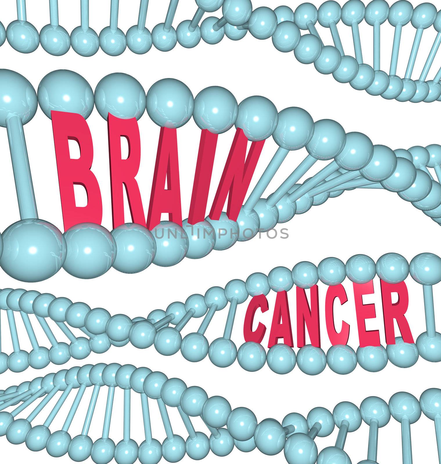 An illustrated DNA strand with the words Brain Cancer embedded in the chain, symbolizing the disease also referred to as glioblastoma multiform, anaplastic glioma, astrocytoma, and oligodendroglioma