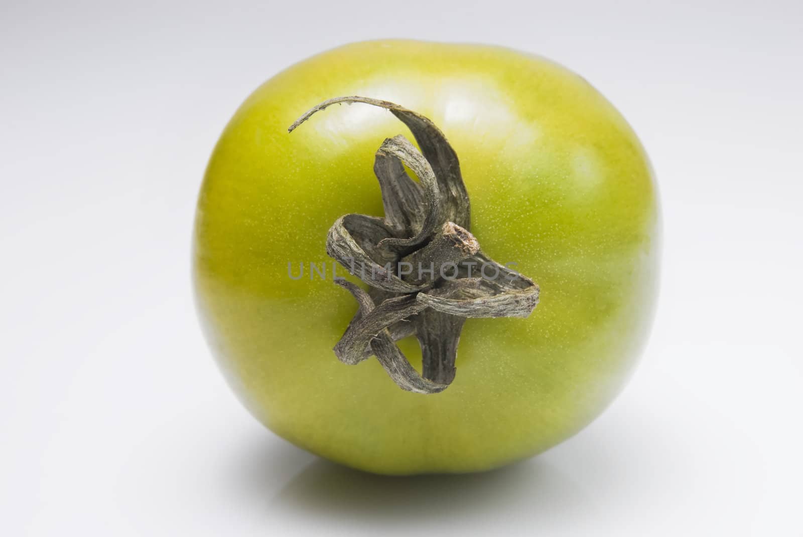 Green tomato shot against white background
