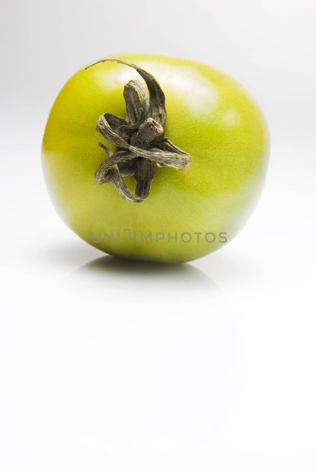 Green tomato shot against white background