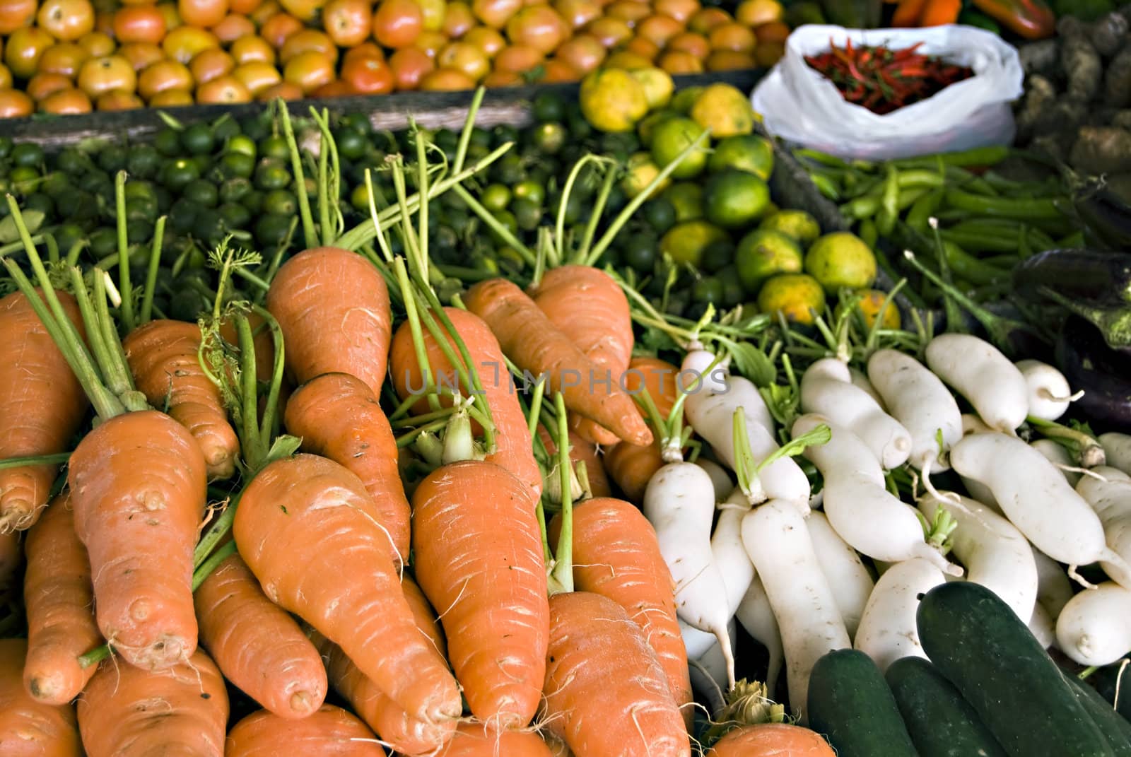 Newly harvested fresh fruits and vegetables from the farm                                