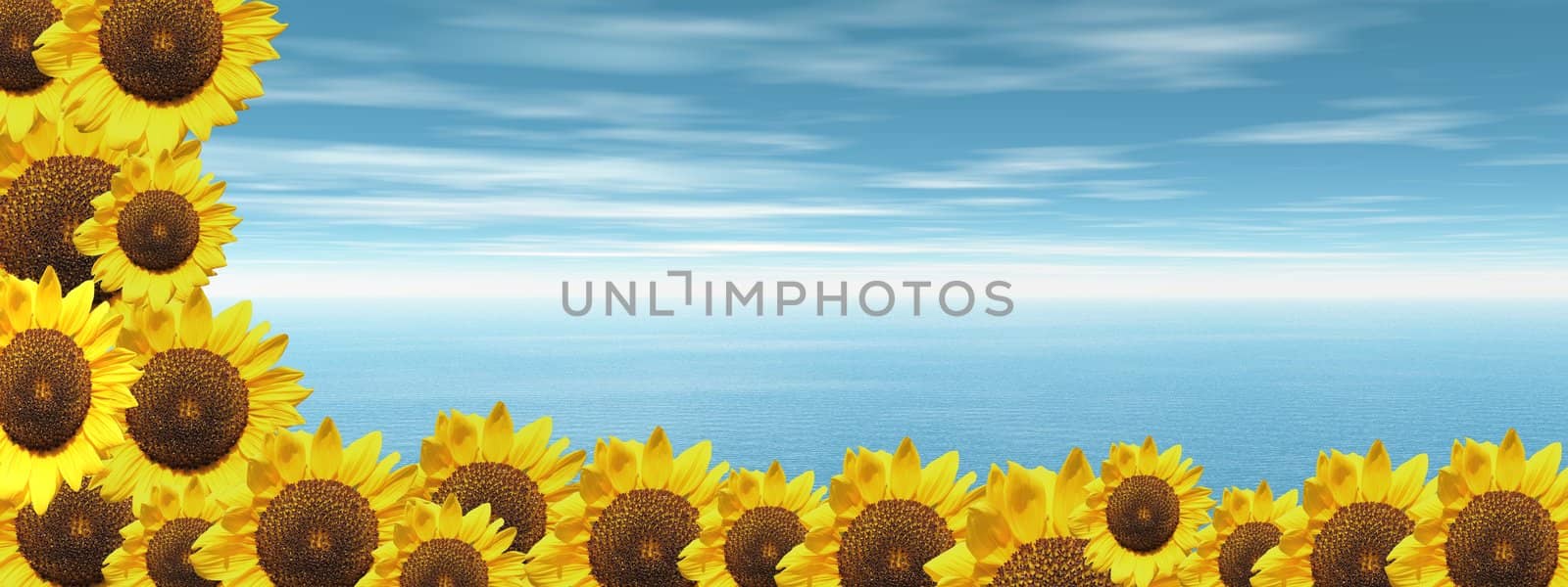 Background of cloudy blue sky and ocean with lots of sunflowers down and on the left side