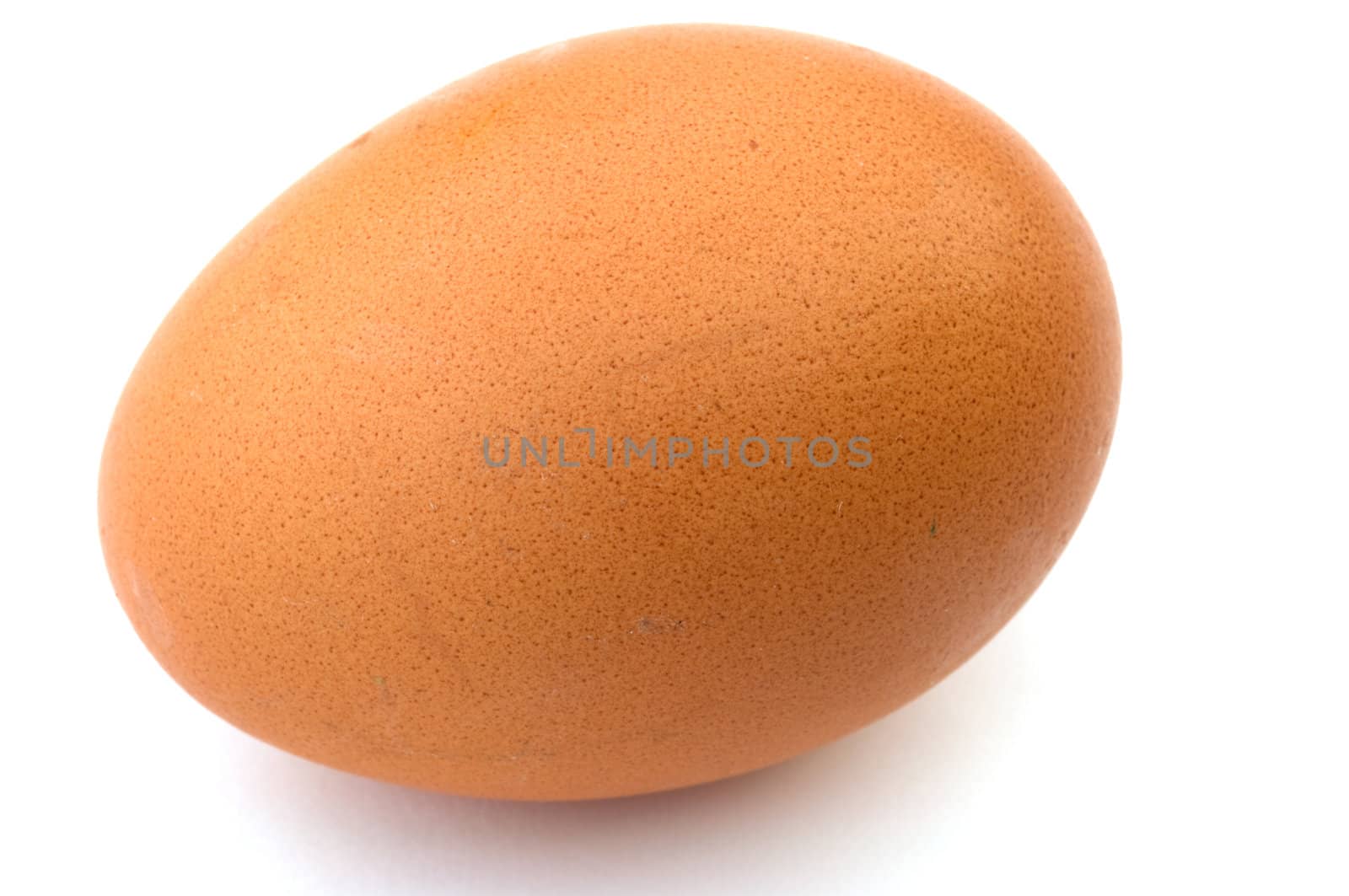 Brown egg on a white background a close up.
