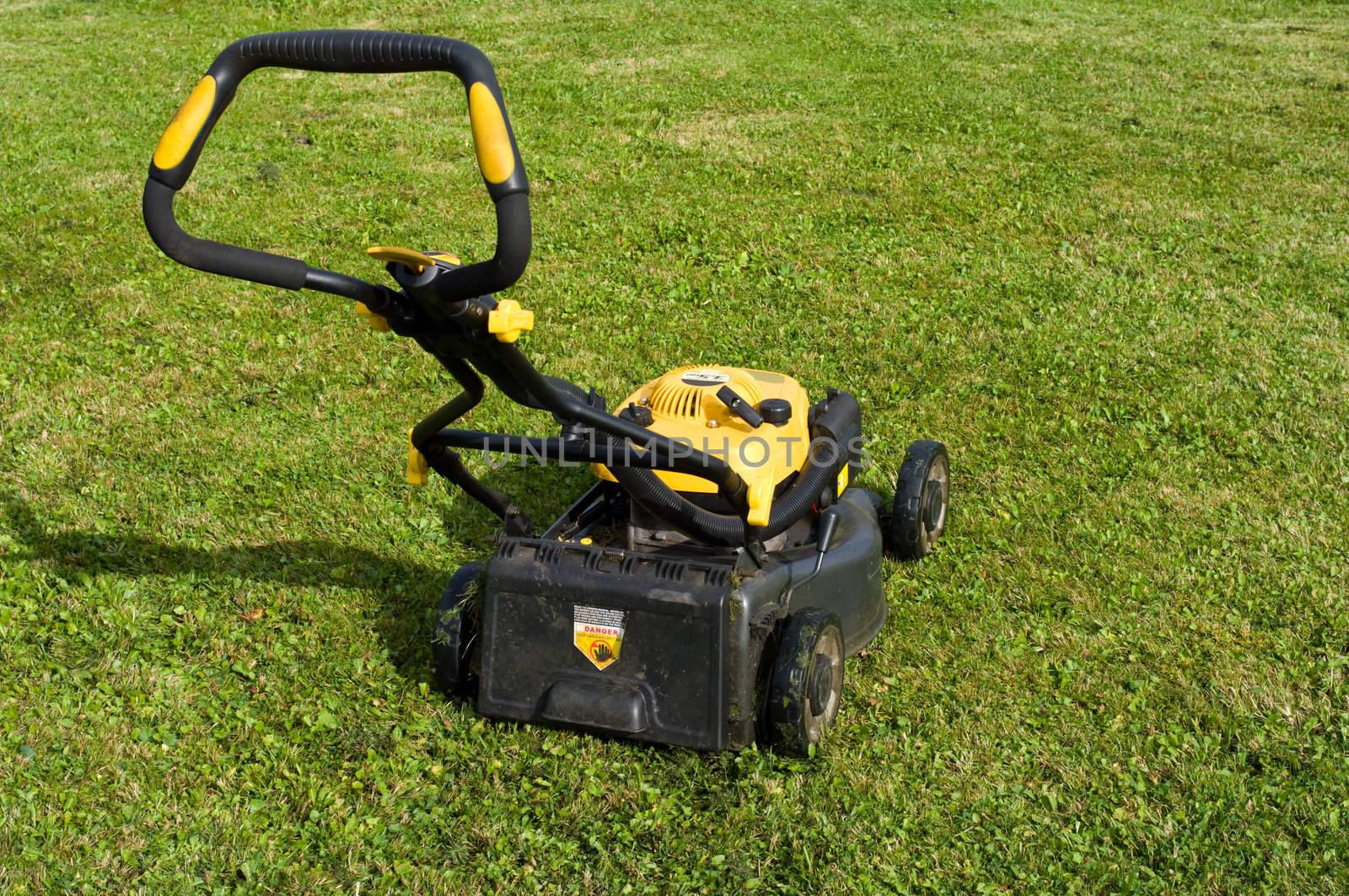 Yellow lawn mower on the green field.