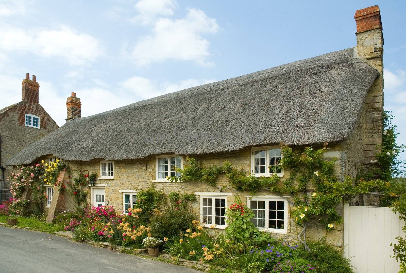 Row of pretty English traditional thatched country cottages in the small village of Abbotsbury in Dorset.