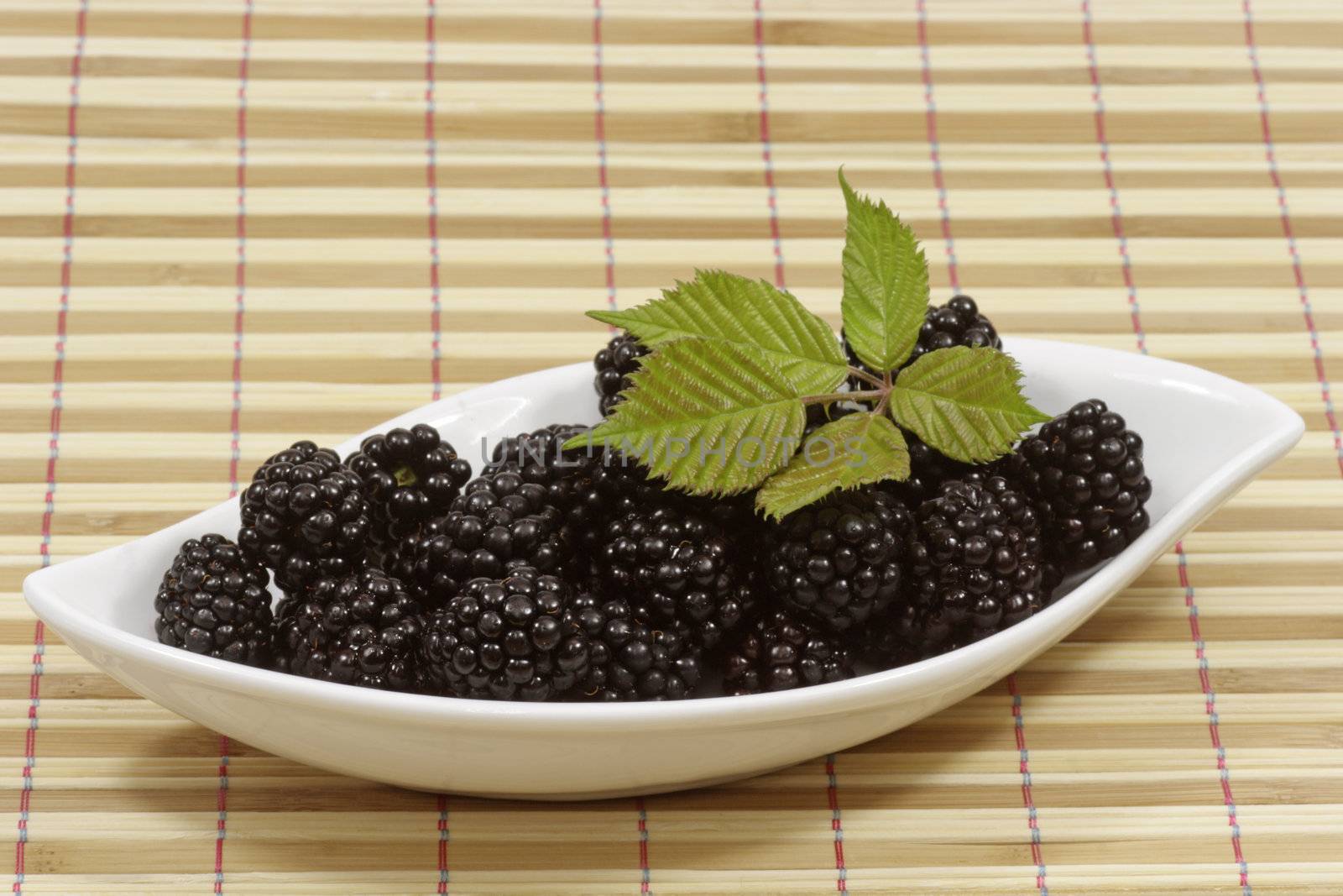 Fresh blackberries with leaves in a white bowl
