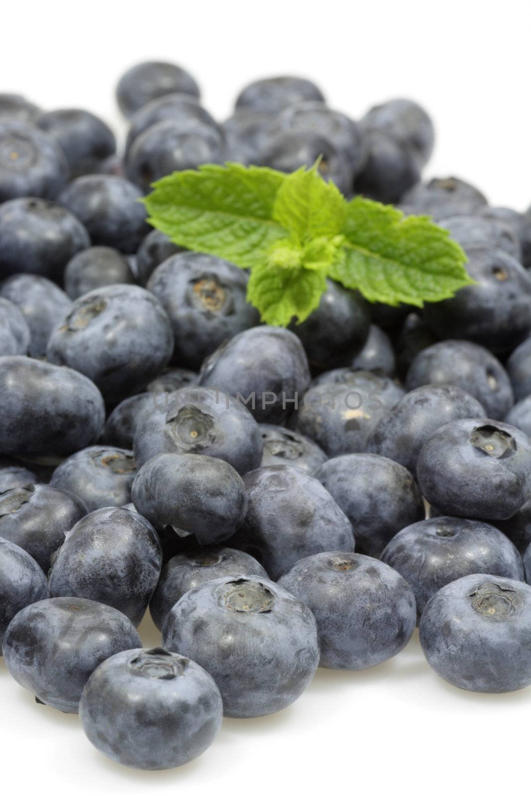 Fresh blueberries with mint leaves over white background