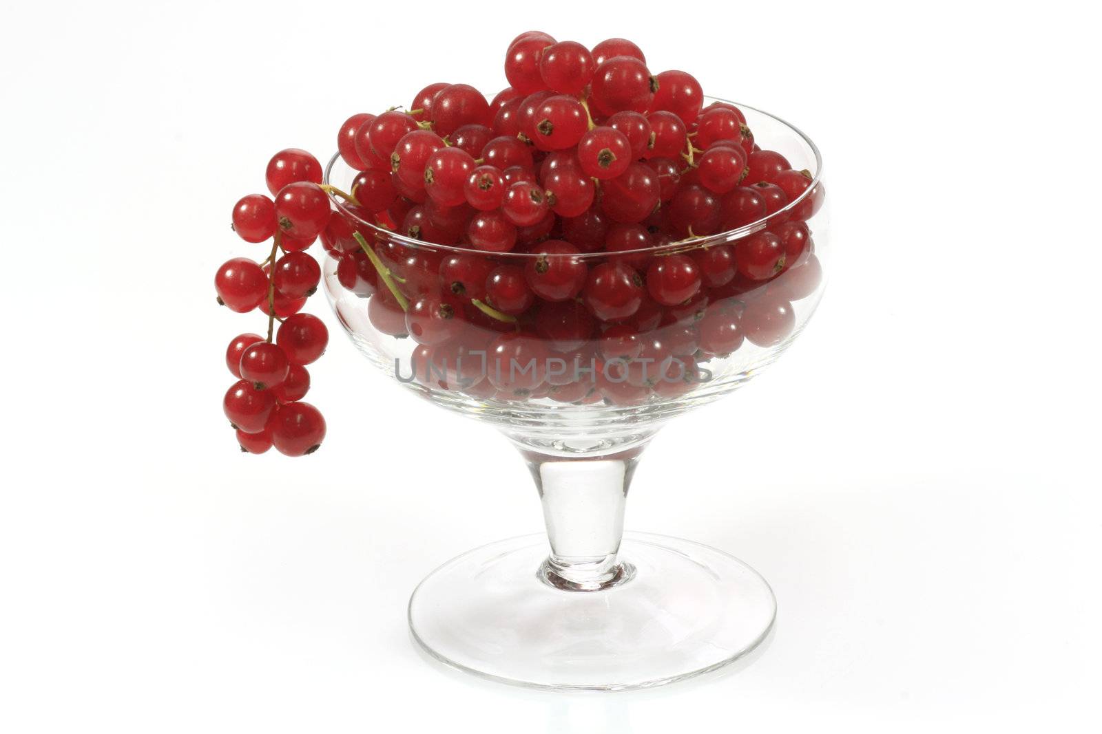 Fresh red currants in a glass over white background