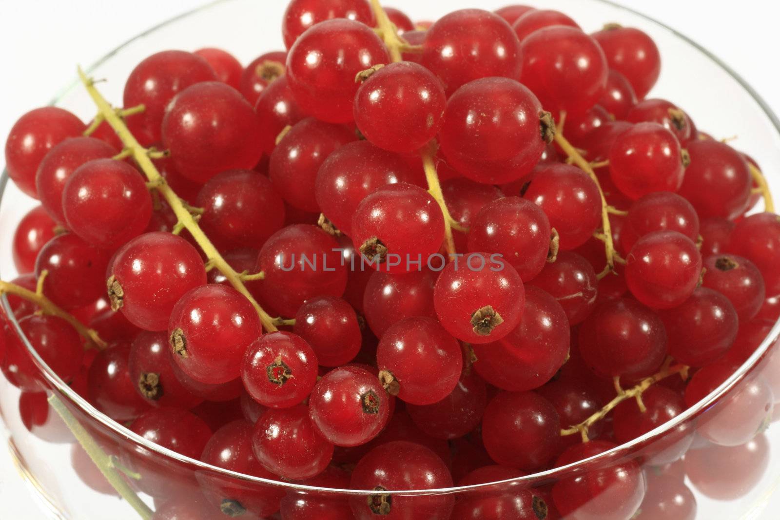 Fresh red currants in a glass over white background