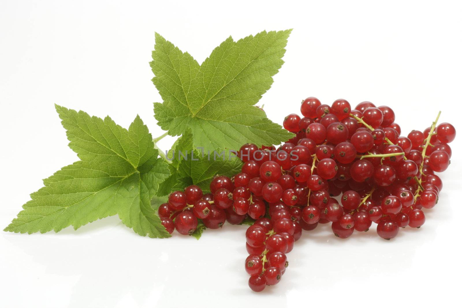 Red currants by Teamarbeit