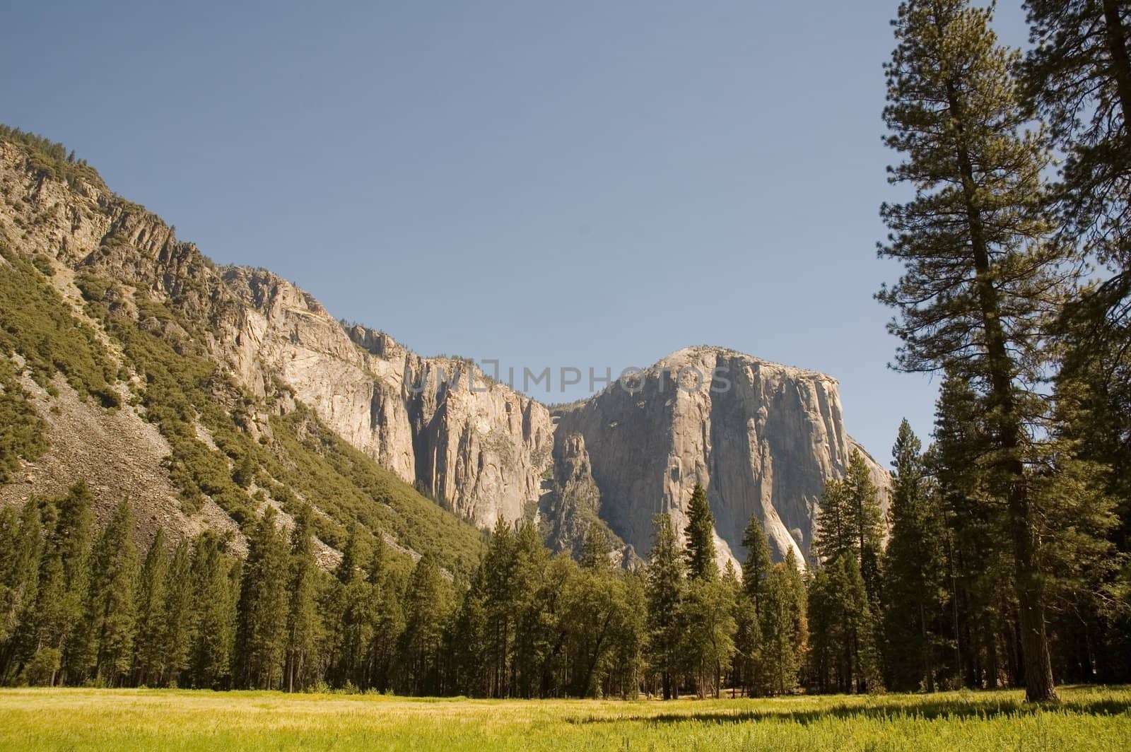 summertime view across Yosemite valley towards El Capitan and the east.