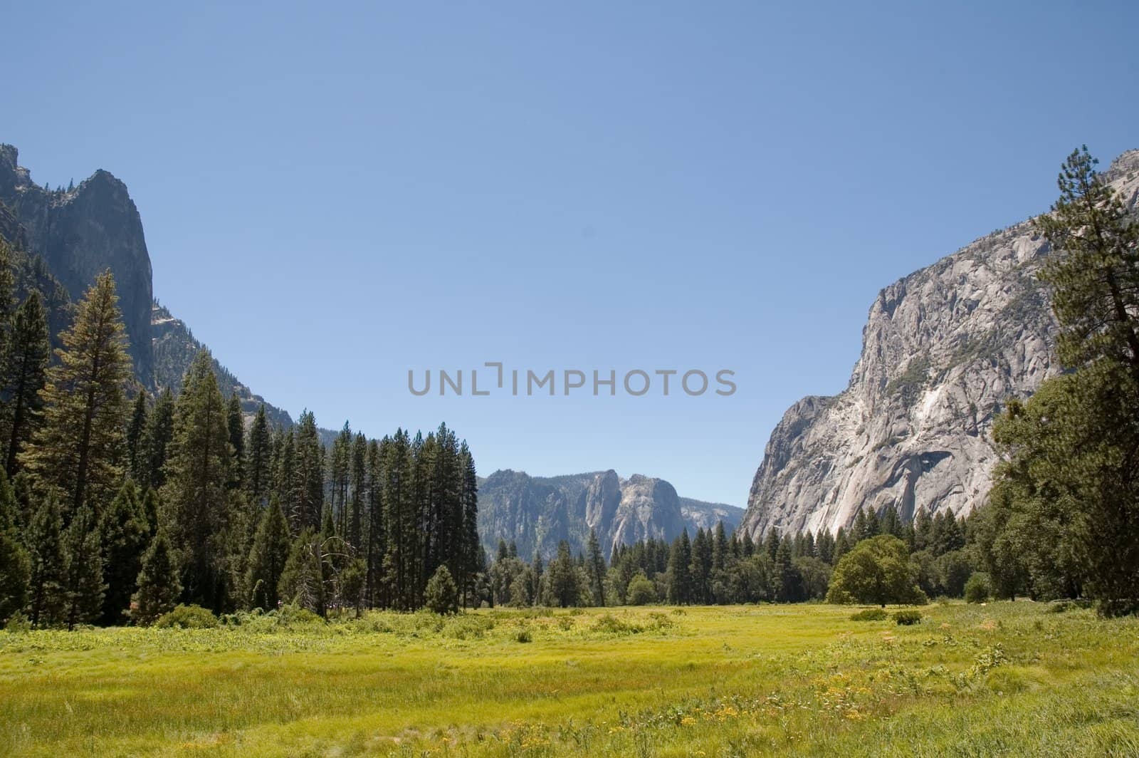 summertime view across Yosemite valley towards the west