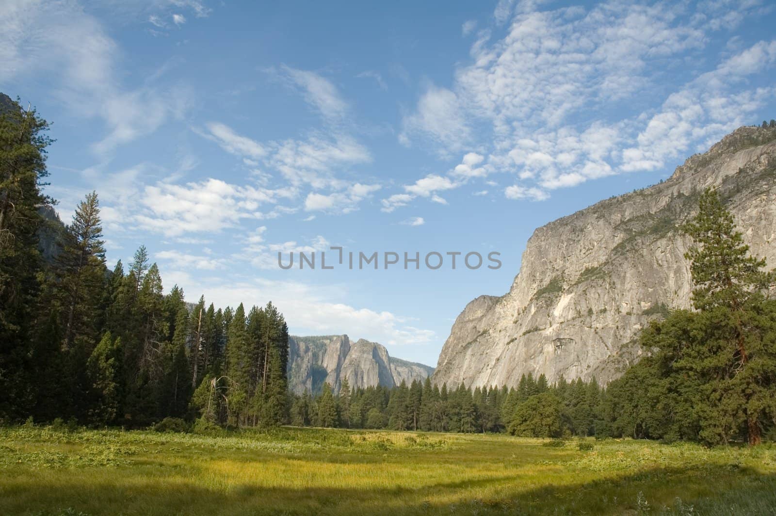 summertime view across Yosemite valley towards the west.