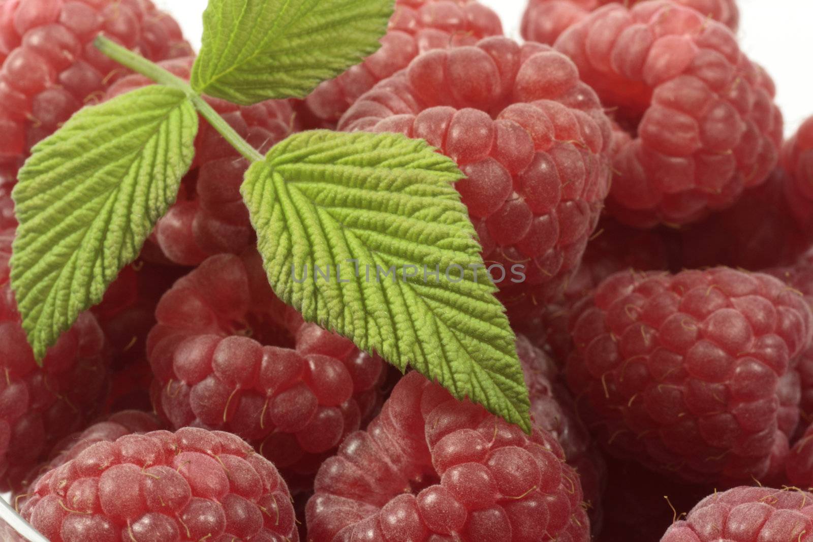 Raspberries by Teamarbeit