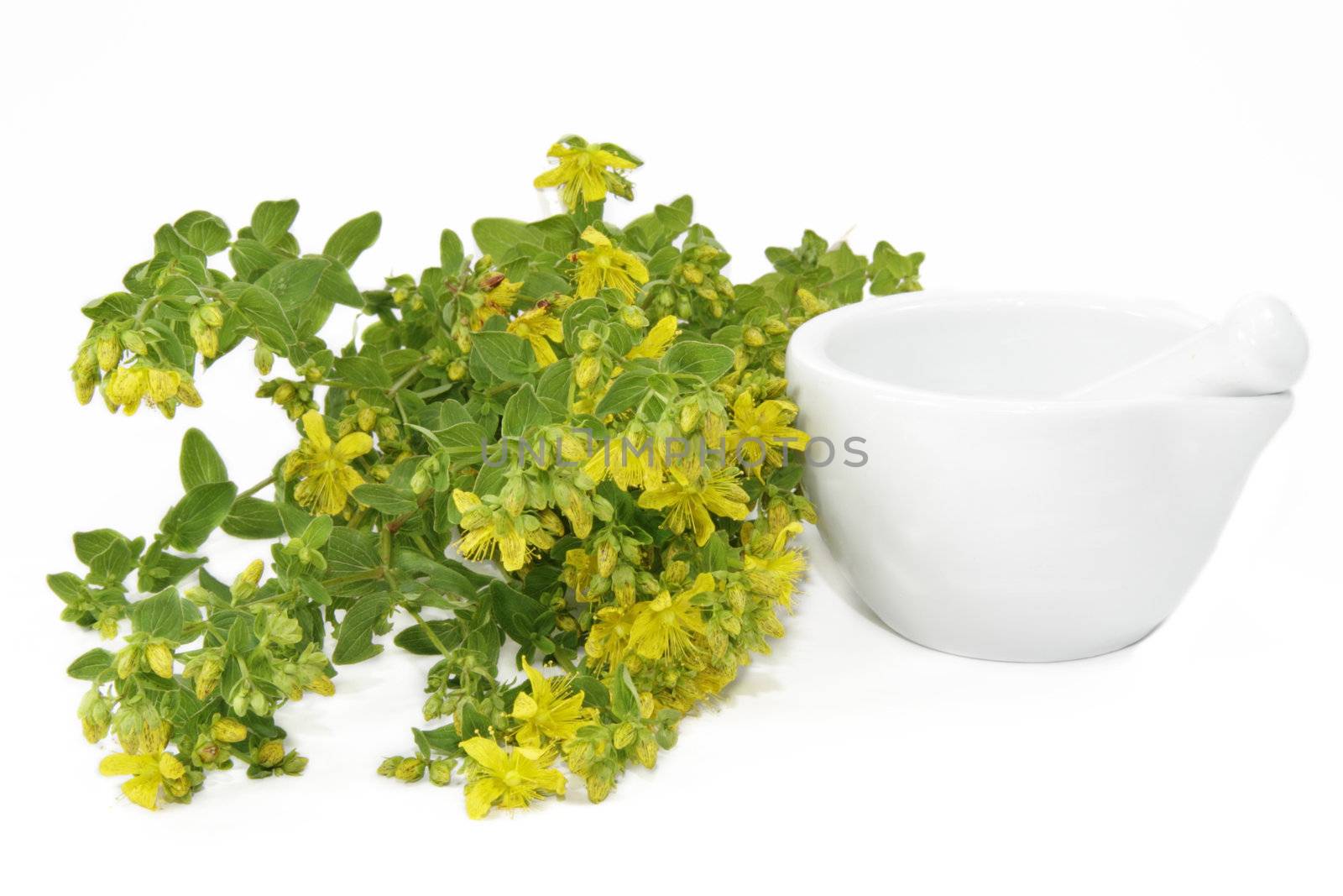 Saint-John's wort with mortar over white background