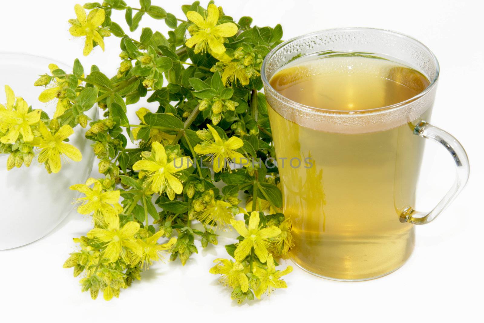 Herbal tea with Saint-John's wort over white background
