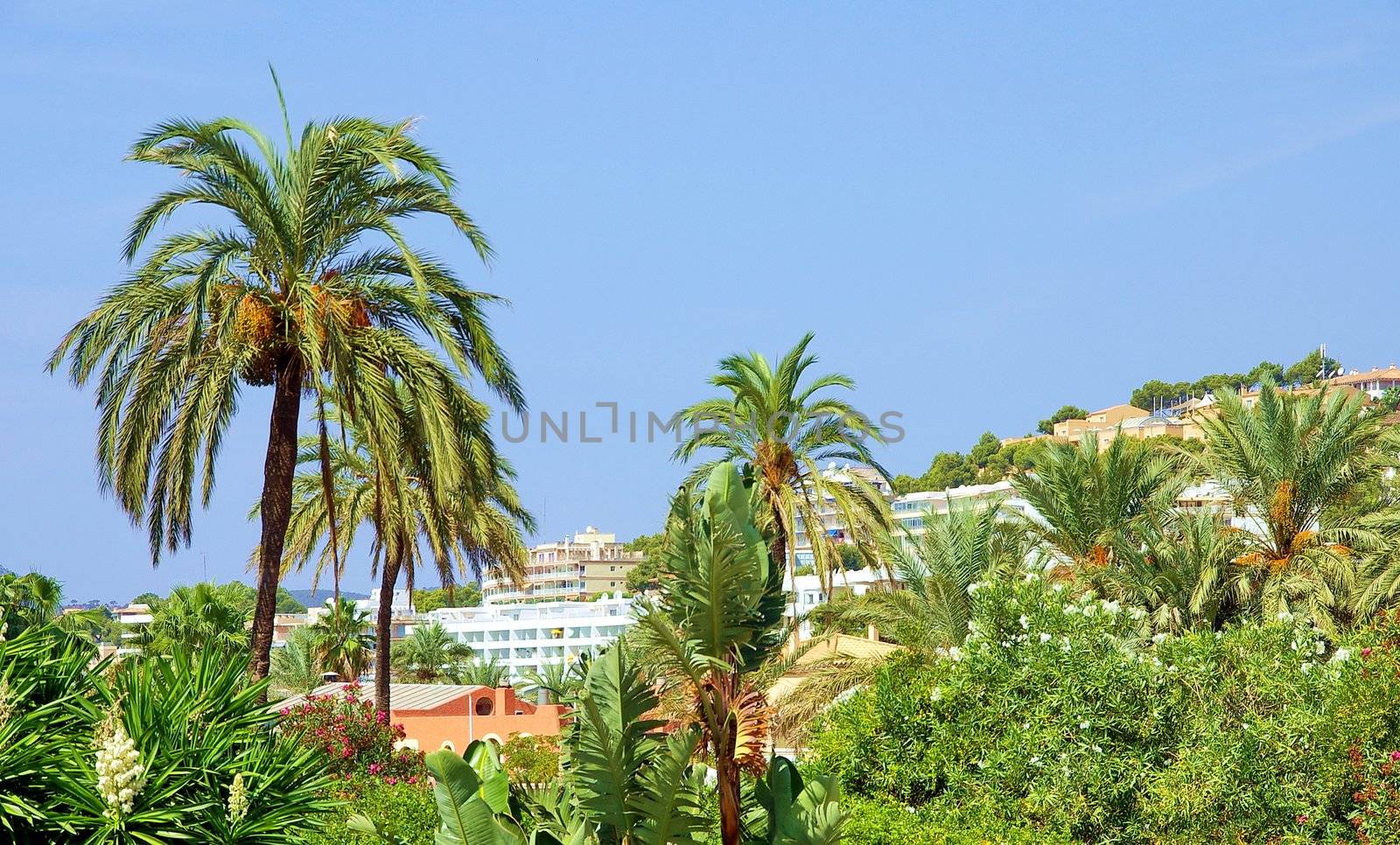 Mallorca Santa Ponca City by FotoFrank