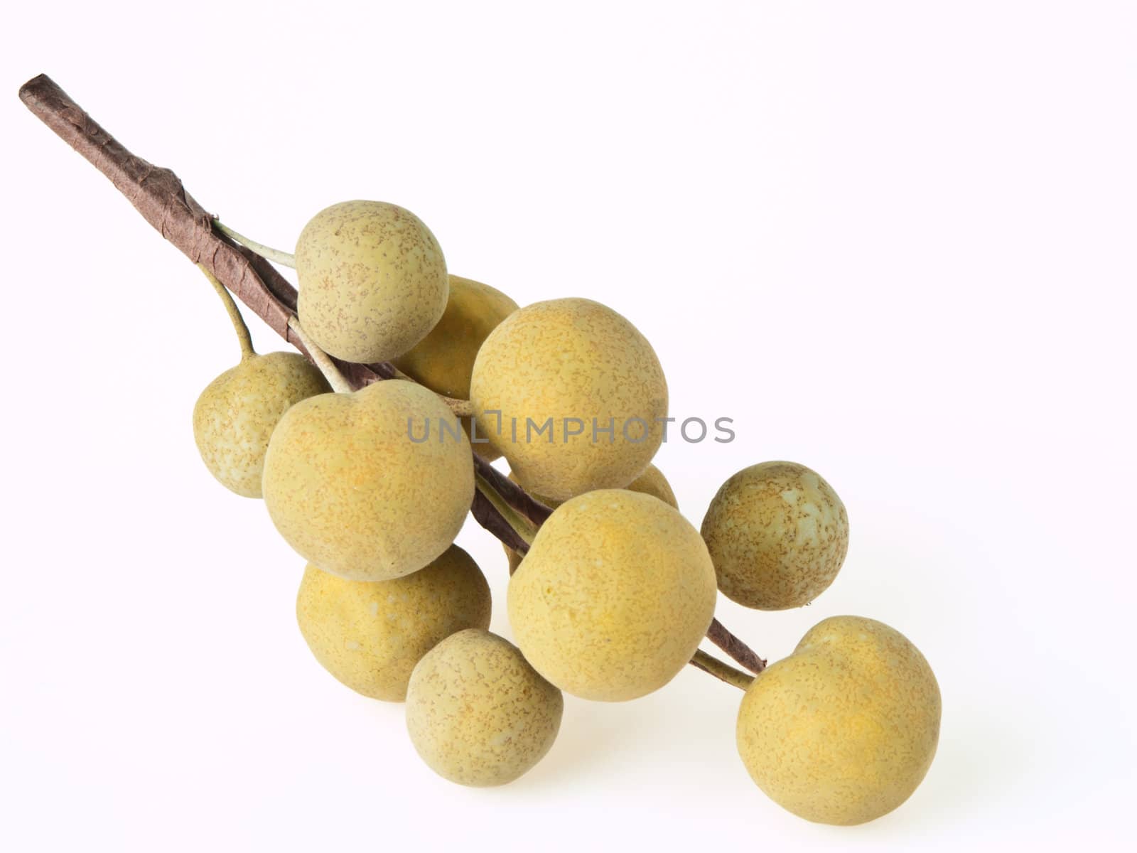 longan on white background