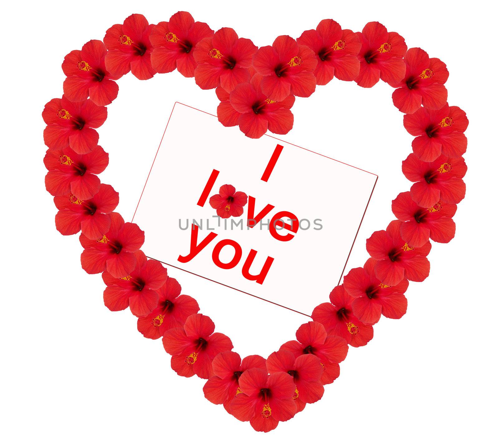 Flower heart " I love you " by soloir