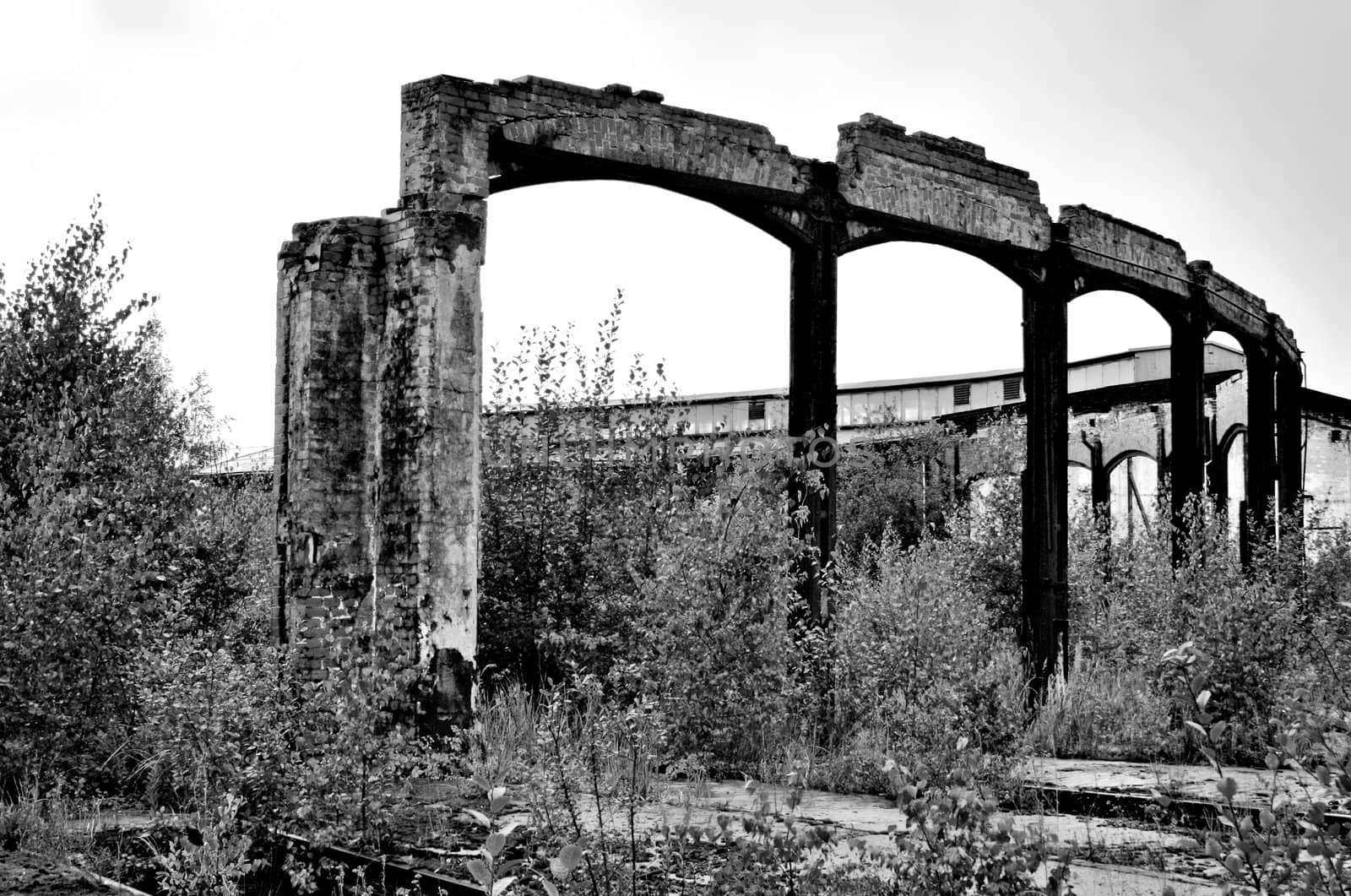 Rotting ruin of an industrial building, the remains of a huge round locomotive shed, which was destroyed by a fire. Totally abandoned area, plants growing everywhere.