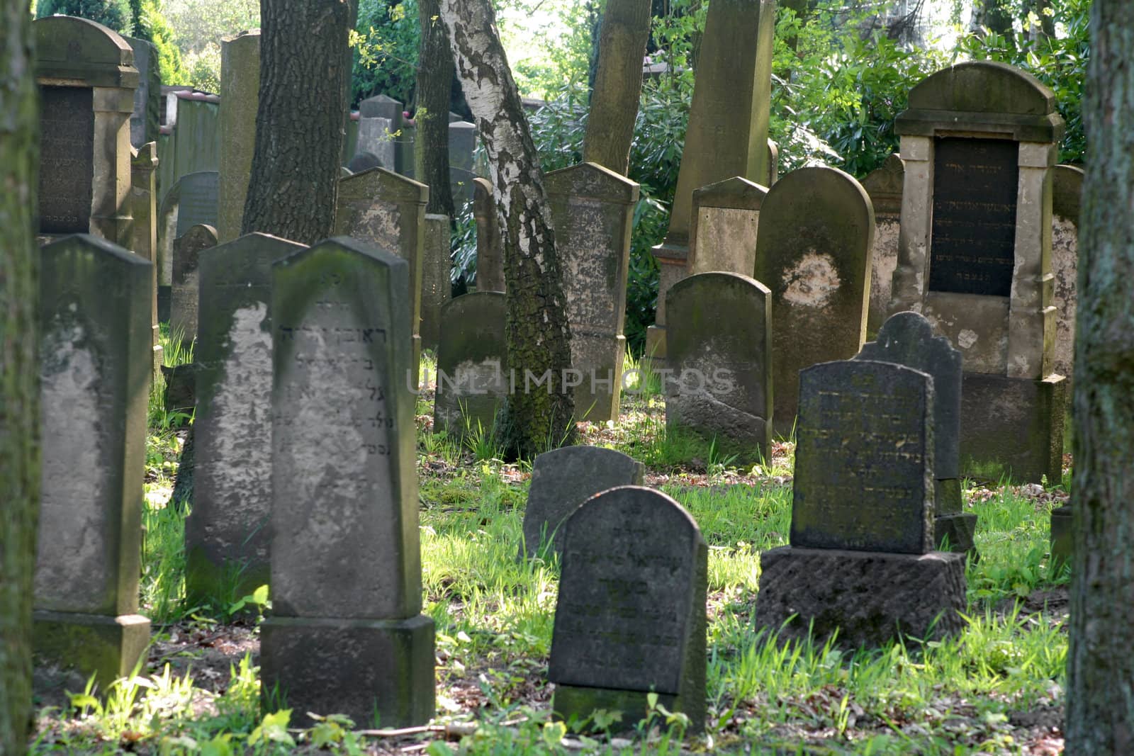 Old jewish graveyard in Hamburg, Germany. Founded 1887, last buriel was in 1941.
