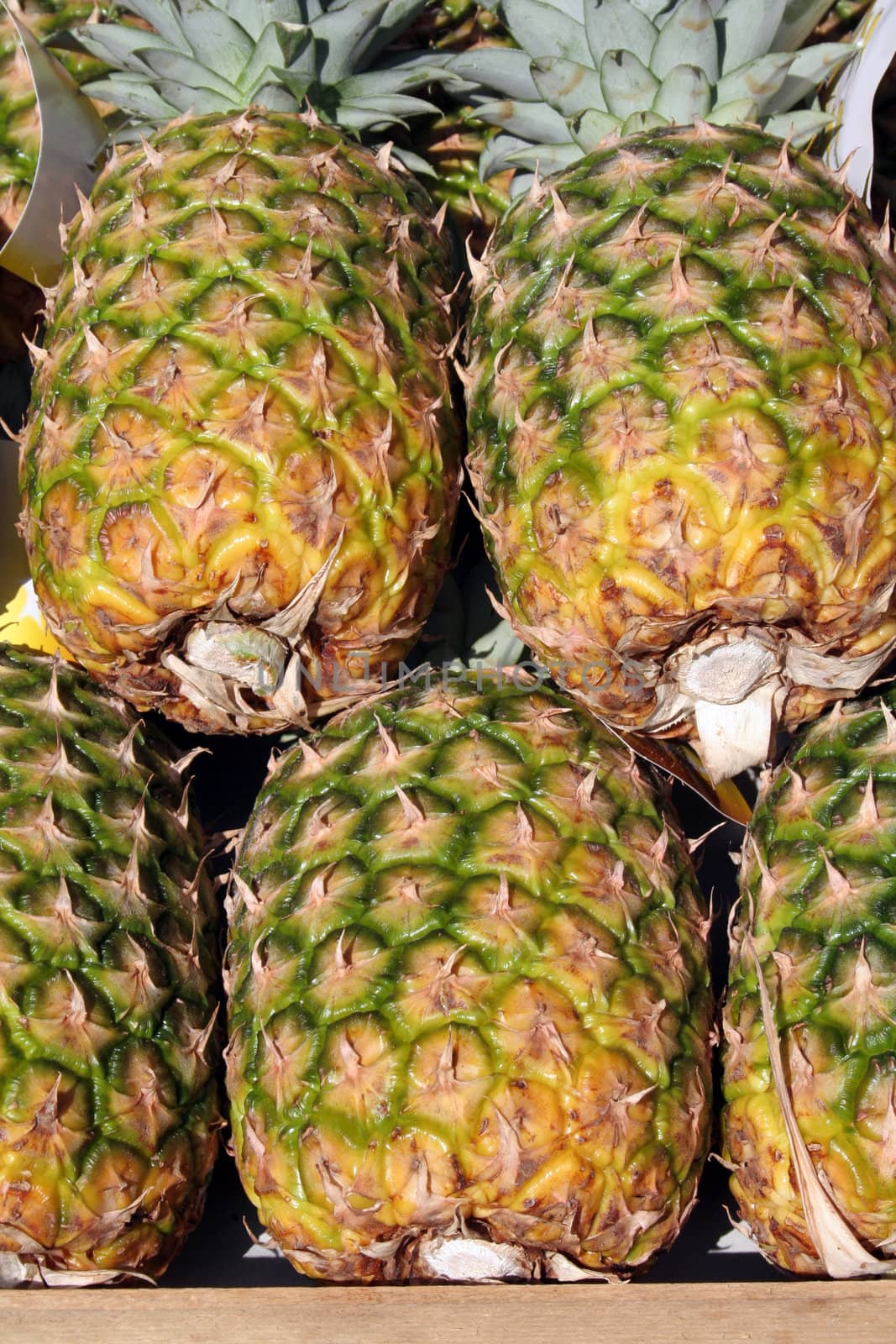 Pineapples displayed at the sunny outside of a grocery store.